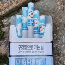 디스 아프리카 아이스잭(Ice Jack) 후기!