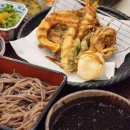 11500-5-23-08 이미지