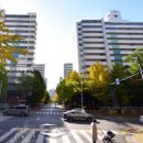 안양세무서_상 이미지