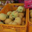 성정농장 이미지