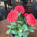 스테이크레이브 아산점 이미지