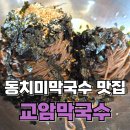 강원도동치미막국수 | 강원도 고성 동치미 막국수 맛집 교암막국수 내돈내산 후기
