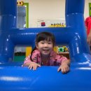 꿈꾸는푸른도서관 이미지