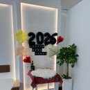 화려하개 | 삼송 애견카페 오늘뭐하개 다녀온 후기