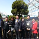 보길면-3 이미지