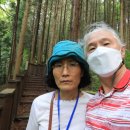 수림약품 이미지