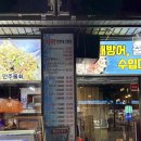 효곡동주민센터 | 포항 쌍사 해물대장 모듬회 중 + 라면, 6만 원에 해신탕까지 나온 후기
