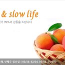마운티아롯데마트 - 천안시 서북구 성정두정로 1 | 마운티아롯데마트