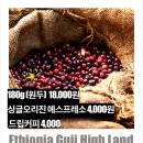 포레스트G1 이미지