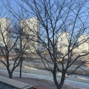 (주)장하다옹기마을 | 별내 카페 추천 _ 내돈내산 루프탑 대형카페 ‘로얄드벨’