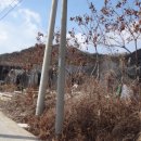 유촌농장 이미지