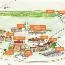 동강시스타 이미지