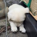 옥구지구대 이미지