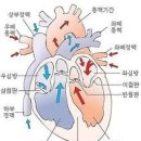 영등포 우신종합 동물병원 이미지