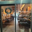 효산캐슬 | [일산 파스타] 분위기에 취하고 맛에 반하는 '이그조틱 고양 일산점' 솔직 후기