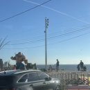 복학농장 이미지