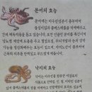 천하해천탕 이미지