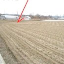 청미천 8 이미지