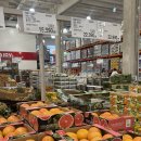 양지-3100 | 코스트코 광명점 4월 첫째 주 할인 우유, 오렌지 등