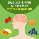 뇌 건강에 문제? ‘이것’ 먹으며 관리하세요 이미지