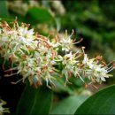 푸른계곡 이미지