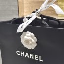 샤넬 | 샤넬 WOC 후기｜예물백으로 받은 샤넬 수납력, 착용감 솔직 후기