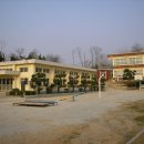 관청초등학교 Daum카페