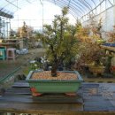 한상태농장 이미지