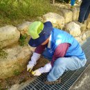 (주)청룡자원 이미지