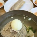 강남 평양냉면 맛집 진평면옥 물냉면, 제육 반접시 후기