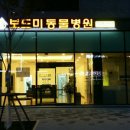 애니케어동물병원 이미지