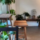 해브어쿠키데이 이미지