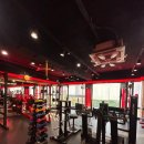 슈나이더 짐 | 슈나이더짐 방문후기 – 전문 트레이너와 체계적 운동 체험기