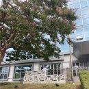 미래의세기 | 수원 아이와 가볼만한 곳 경기도미래과학교육원 사전예약 없이 방문 가능한 실내체험 7세 이용 후기
