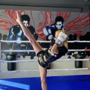 컴벳다이어트짐 이미지