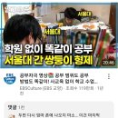 학원 없이 서울대 간 쌍둥이들을 향한 경고.jpg 이미지