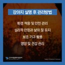 우리동물메디컬센터 이미지