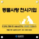 천사의류 이미지