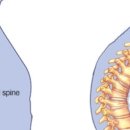 세종NS타워2차 이미지