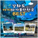 김진영지구과학연구실 | [강화도 아이와 가볼만한곳]체험과 볼거리가 가득한 실내 코스, 강화자연사박물관 방문기