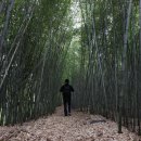 청천호 둘레길 주차장 이미지