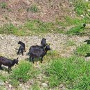 마이산길 이미지