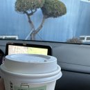 (주) 브레인워시 | 울산 체온업다이어트 | 비뚜관리 1일 체험 후기