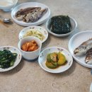 간단한 한끼 가정식 요리 | 주간 밥상 가정식 백반 간단한 점심 또는 아점 메뉴