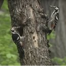 우이동주민센터 강의실 | [공지] 지하철로 떠나는 서울 명산 인문기행 Top 7(북한산편-2)