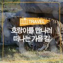 춘양면 춘양떡방앗간 앞 | 만나러 떠나는 가을 길, 백두대간 수목원 그리고 춘양 :: 봉화 가볼만한곳, 봉화 만산고택, 성암재...