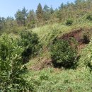 승재 농장 이미지