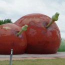 어슬렁대추정원 이미지