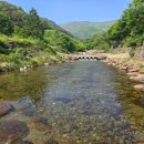 어치물놀이펜션 이미지