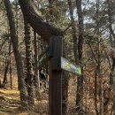 (유)우선건설 | 등린이 운 받으러 관악산 갔다 온 썰 feat. 등린이코스 서울대출발